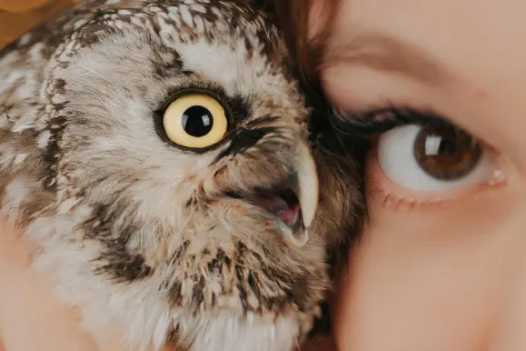 PlayFortuna Casino Podrška